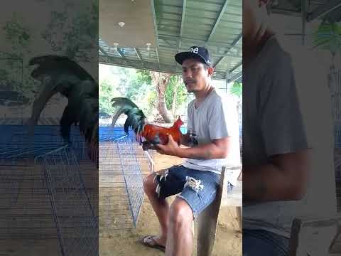 FASTING PARA MALAMAN SINO MAHINA AT MALAKAS PAG GUTOM