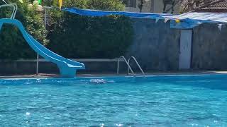 ว่ายน้ำ