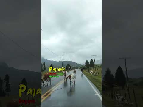 Sector de Toquilla,  Vía Pajarito Boyacá - Sogamoso (Julio 25/2026)