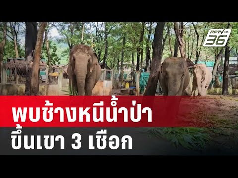 ��ԡ���ʹ٤�Ի�Դ���