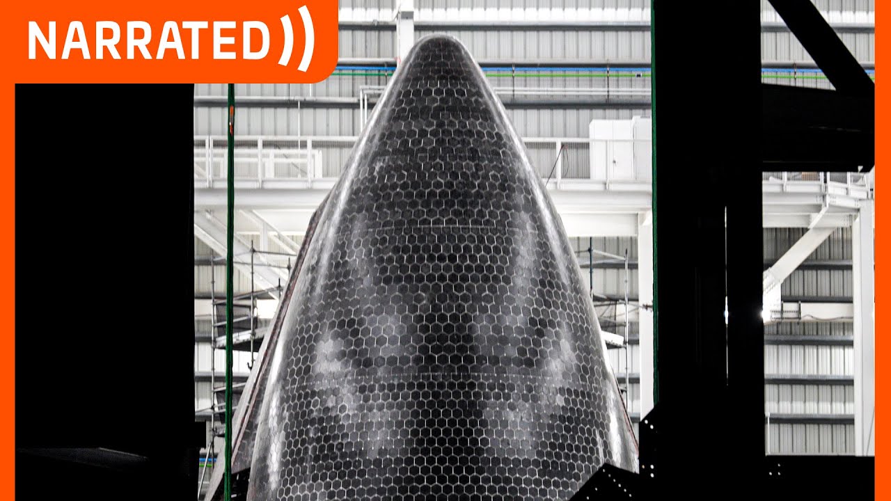 "Petals of a stainless steel wounded flower" | SpaceX Starbase