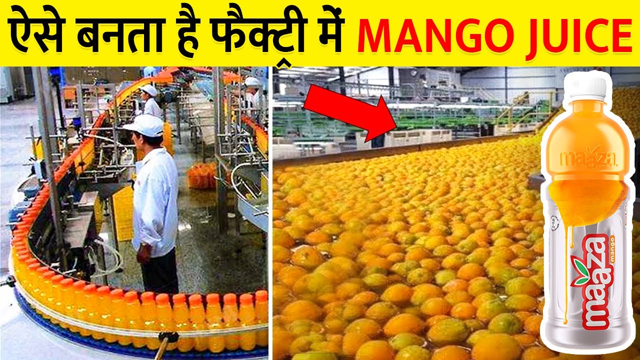 फैक्ट्री में MANGO Juice कैसे बनता है How Mango juice is produced in a factory