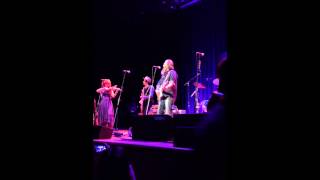 Steve Earle - Are You Sure Hank Done It This Way (Waylon Je