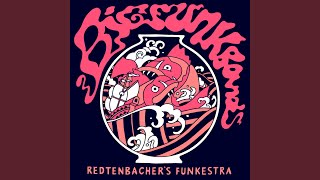 Music video thumbnail preview for Funkberater (feat. Backwood Five) by Redtenbacher’s Funkestra