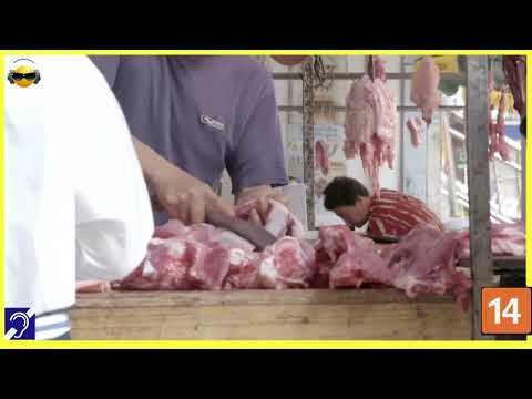 Tv Educativa Cortes Netflix Explicando A Próxima Pandemia Dublado e com Legendas Surdez Hipoacusia  Corte 07