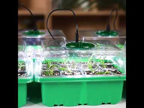 Мини теплица для рассады с подсветкой на 4 лотка по 12 ячеек, Домашний мини парник для рассады и цветов - фото 1 - id-p2358446805