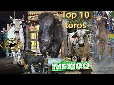 ¡¡¡Los mejores 10 Toros de México!!! ¿Cuál quitan y cuál ponen?