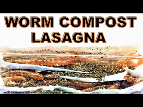 Lasagna Method Compost Worm Bin- The Rebuild