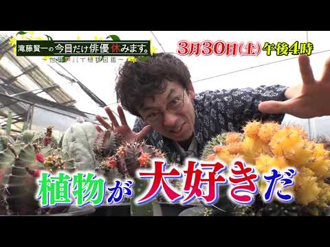 藤 植物