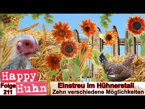 , title : 'E211 Einstreu im Hühnerstall - 10 Produkte im Vergleich bei HAPPY HUHN - Hanfstreu, Laub, Buchenhack'