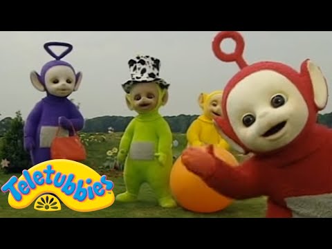 Teletubbies Português Brasil - WildBrain | Olha só! Uma abelha travessa | Shows para crianças