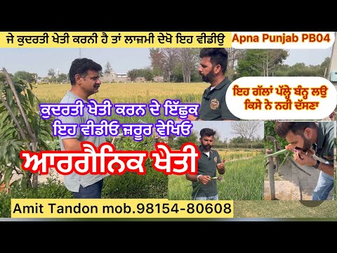 Organic farming in Punjab/ VEGETABLE 🥕 FARMING HANDBOOK / vegetable Business 