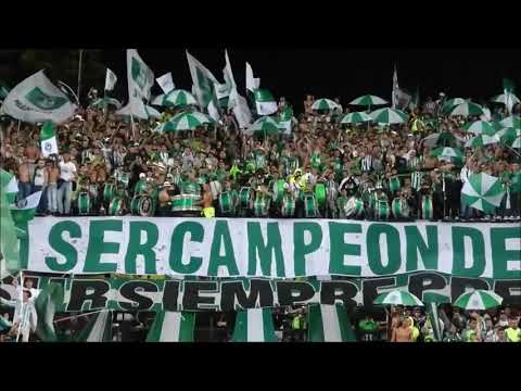Vamos Mi Verde Que Esta Noche Tenemos Que Ganar!!