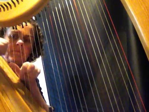 The Harp Hub - Duplet, Triplets and Quads for Beginner Harpists