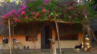 Village house, Chennai