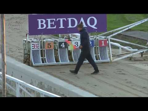 2018 BGBF BRITISH BRED OAKS - HEAT 1 - AFFLECK DINO