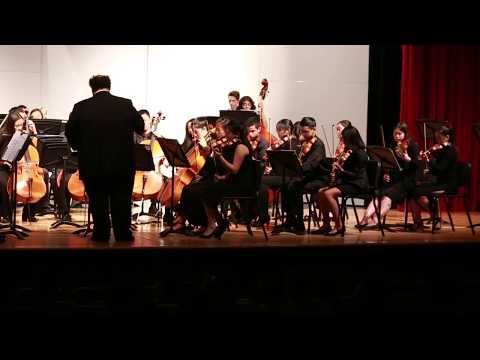 1493 Brahams - Symphony No 2, Op 73, 1st Movement