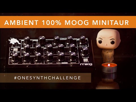 Ambient 100% Moog Minitaur [One Synth Challenge]