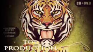 Los tigres del norte - Dos cobardes