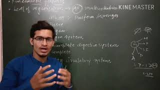 Level of organisation in Animal Kingdom