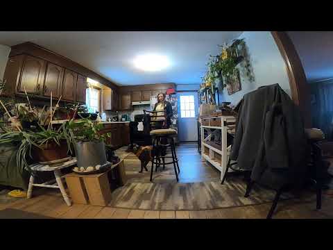 S16W1 Slick Red Light Green Light V3