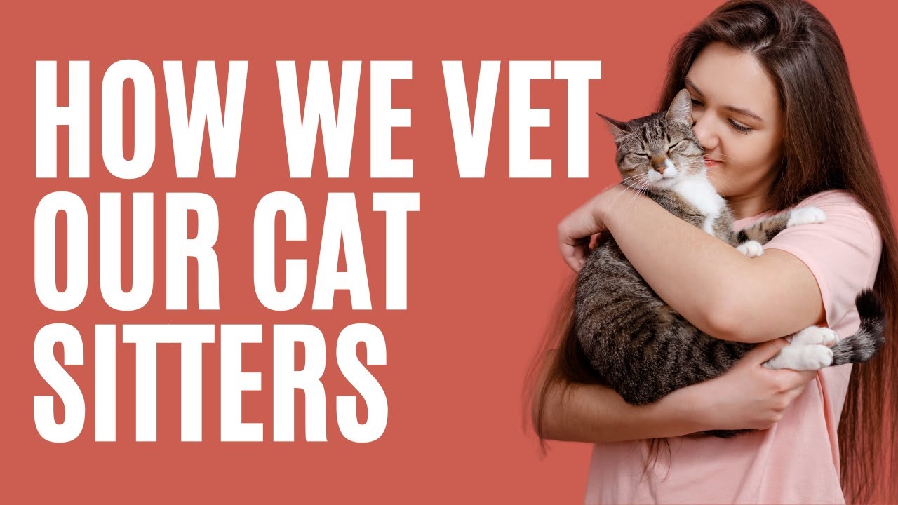 How We Vet Our Professional Cat Sitters - The Comforted Kitty Cat Sitting