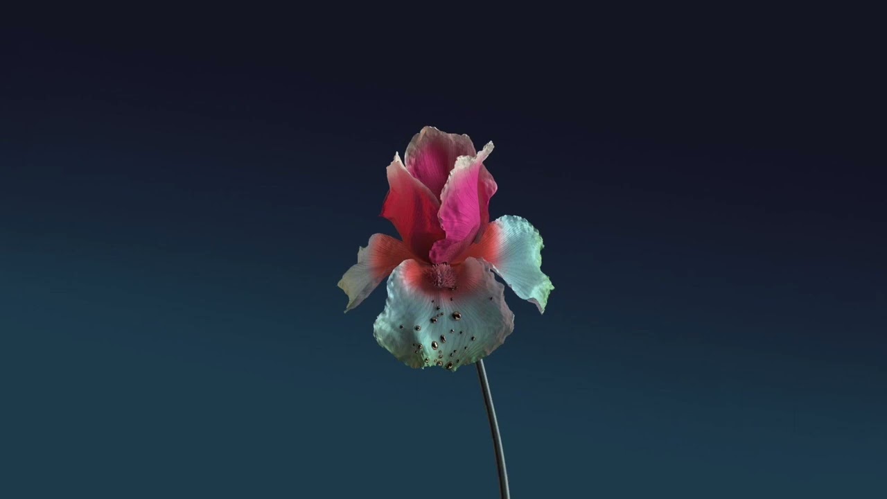 YouTube video player