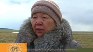Степи Даурии 09 2016