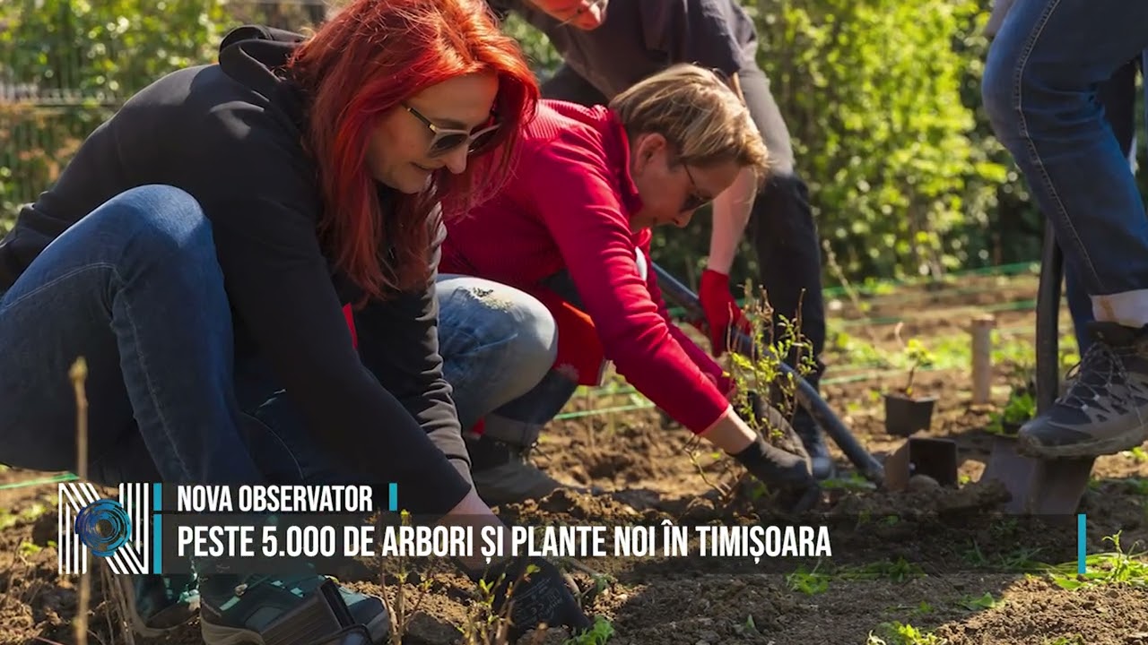 Peste 5.000 de arbori și plante noi în Timișoara