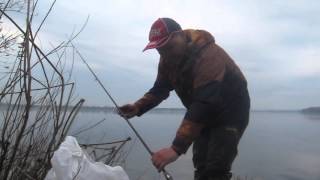 Снасть для ловли плотвы весной на днепре