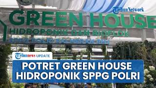 Potret Green House Budidaya Hidroponik SPPG Polri, Jaga Gizi Makananan Program Makan Bergizi Gratis