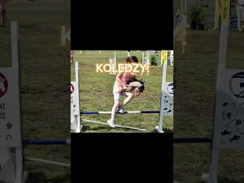 Jak widzą mnie inni i ja w jeździectwie #horse #konie #equestrian #edit #hobbyhorse #koniara #skoki