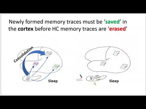 Creating a Memory part 3 Fall 2023