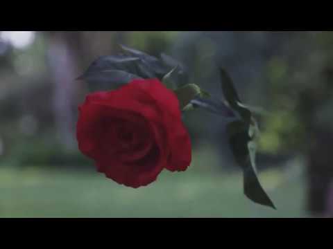 El Tío Valen - Rosa china (Video Oficial)