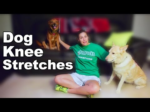 Vertigo Treatment with Simple Exercises BPPV Ask Doctor Jo