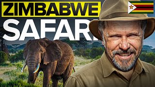 Zimbabwe Safari 2026: Pro Tips, Safety & Victoria Falls