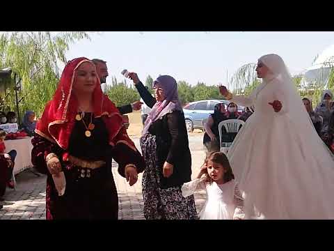 Müzisyen Özlem Ökten AKŞEHİR düğünleri Osman & Sevginur Arslan çiftinin düğünü