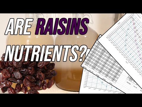 Are Raisins Nutrients? Scientific Test with Charts & Taste Test