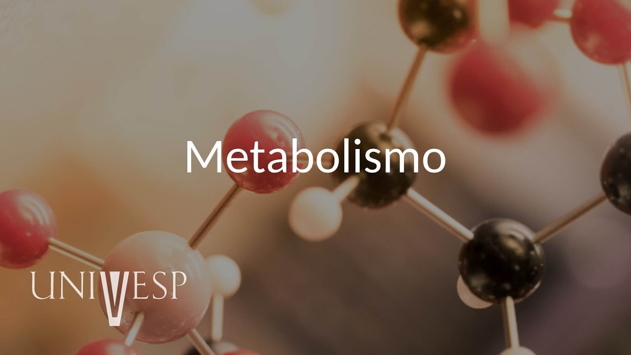 Bioquímica - Aula 13 - Metabolismo