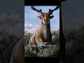 The Most Overpowered Ice Age Herbivores That You Haven T Heard Of Iceage Prehistoric Extinct