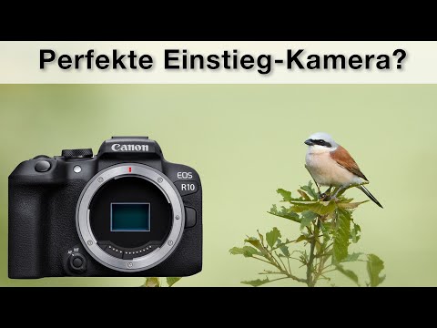 Canon R10 Review - The perfect entry-level camera?