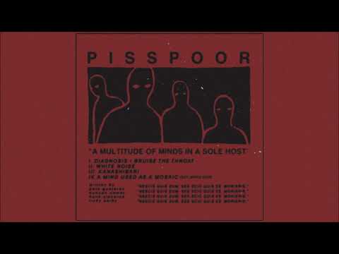 Piss Poor TX - A Multitude of Minds in a Sole Host (Full EP)