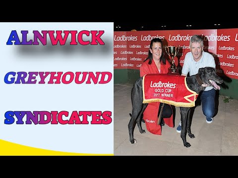 DROOPYS IMPACT Trap 1 finishes 2nd in A2 NEWCASTLE 28thAPRIL2021