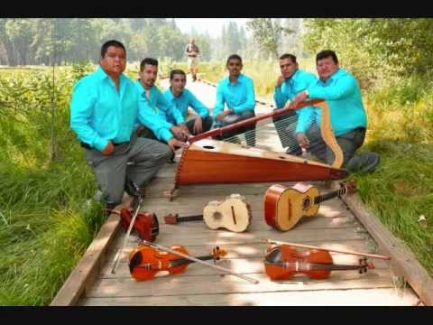 Huerfano Y Ciego-Conjunto de Arpa Herencia Planeca