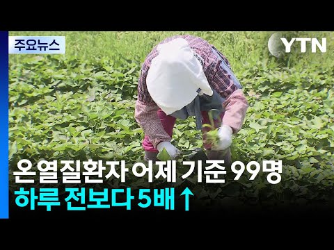온열질환자 어제 기준 99명...하루 전보다 5배↑ / YTN