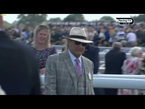 Race (2) 14:25 York 23 Aug 2024 Weatherbys Hamilton Lonsdale Cup Stakes