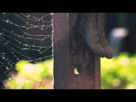 Franz Schubert : Der Tod und das Mädchen