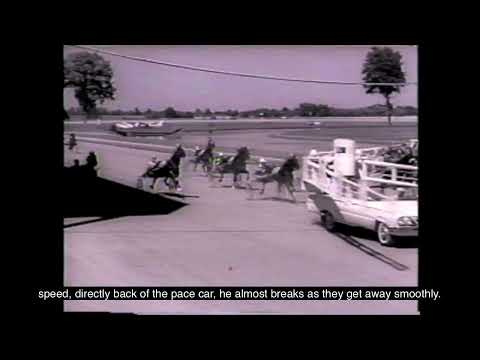 Historic 1964 Hambletonian: Ayres' Record-Breaking Victory - Universal Newsreel