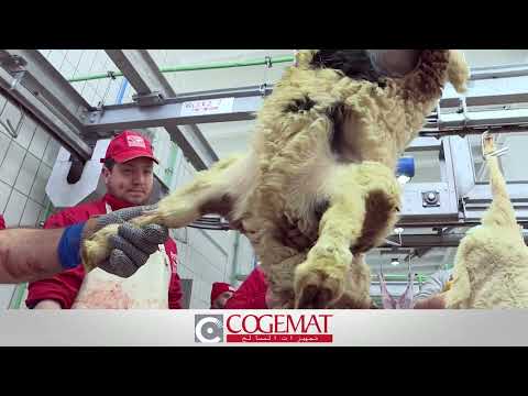 Sheep Halal Salughtering Line