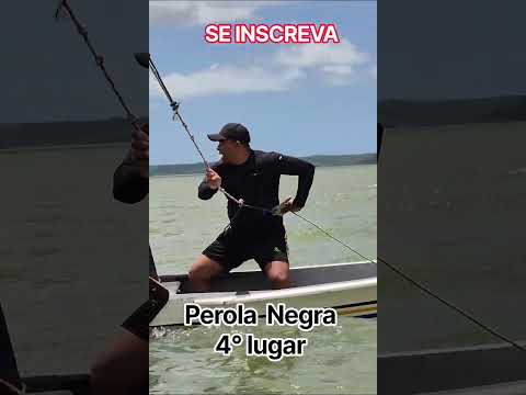 Barco Pérola Negra na última corrida de barco Jequiá #alagoas #corridadebarco #Jequiá #Maceió #barco
